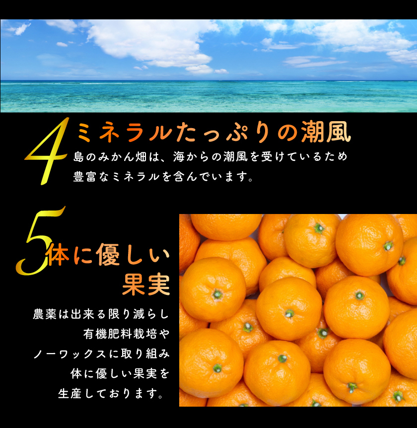 12月分予約 減農薬 訳あり みかん 約 3~10kg 愛媛みかん ミカン 蜜柑 サイズ混合 産地直送 大三島 ore お歳暮 ギフト * ふるさと納税 ではありません_7