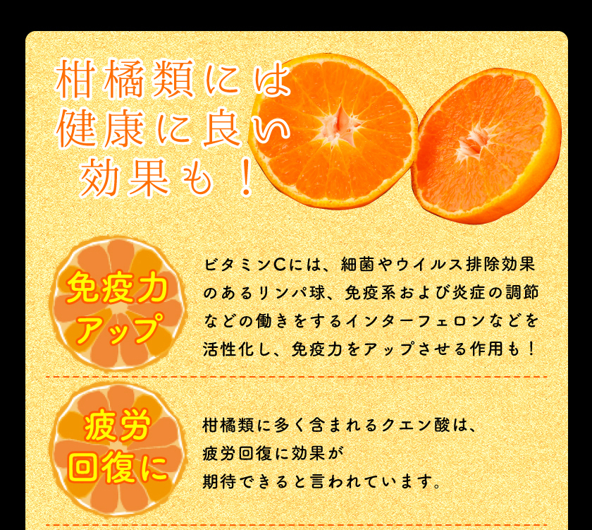 12月分予約 減農薬 訳あり みかん 約 3~10kg 愛媛みかん ミカン 蜜柑 サイズ混合 産地直送 大三島 ore お歳暮 ギフト * ふるさと納税 ではありません_8