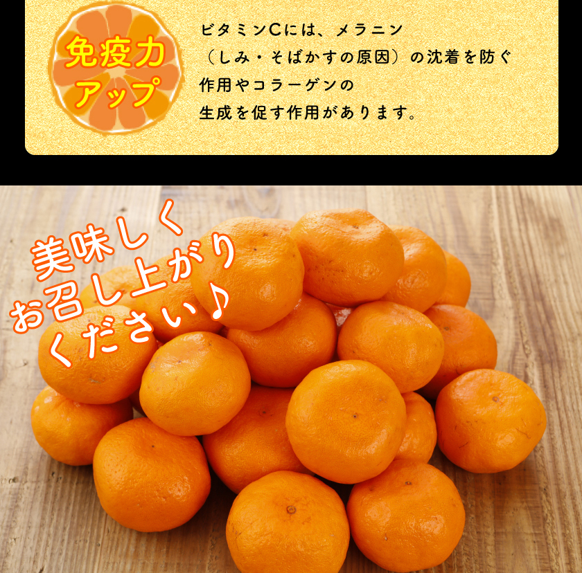 12月分予約 減農薬 訳あり みかん 約 3~10kg 愛媛みかん ミカン 蜜柑 サイズ混合 産地直送 大三島 ore お歳暮 ギフト * ふるさと納税 ではありません_9