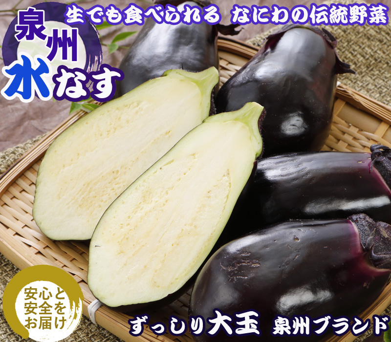 収穫直後　傷がある　訳あり　水茄子　50個入り 2027年5月分予約 訳あり 泉州 生 水なす 約3kg~7kg 15個~50個入 水ナス