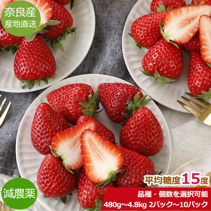 2027年1月分予約 減農薬 いちご 古都華 ならあかり 奈乃華 480g〜4.8kg 