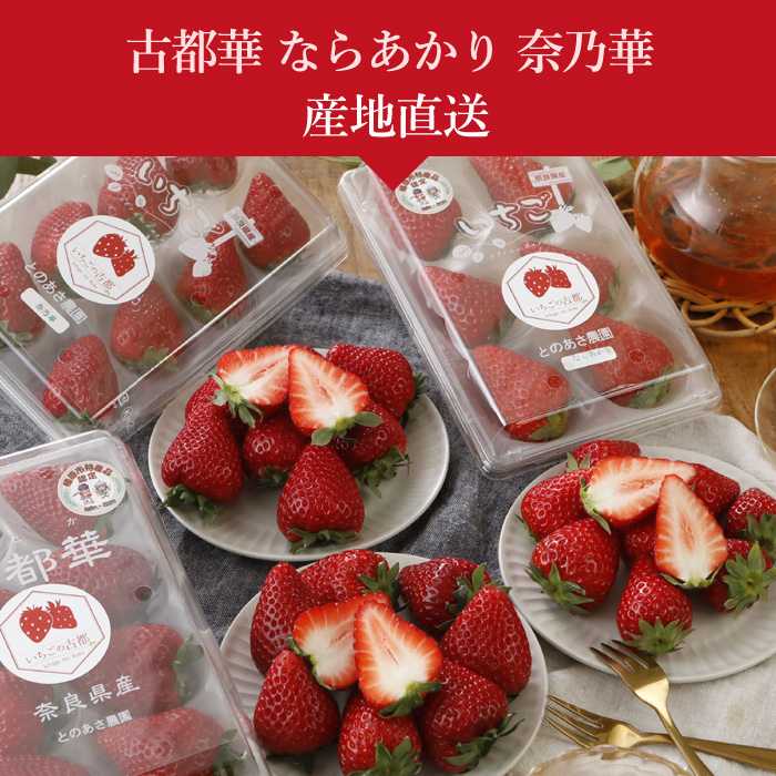 冷凍いちご（品種：古都華）のおすすめ人気商品一覧 通販 - Yahoo