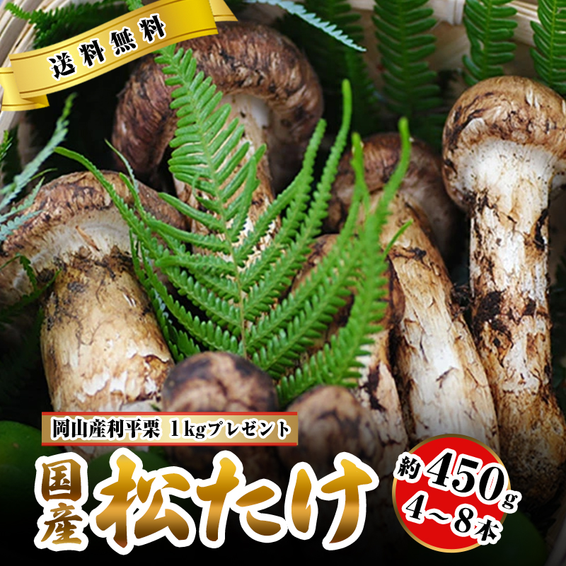 松茸・中蕾・新入荷分