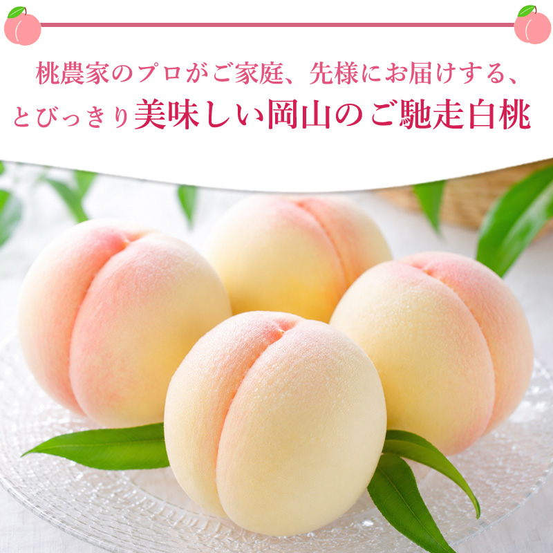 2027年分予約 【全額返金】 低農薬 岡山産 白桃 桃 6~10玉約1.8kg 訳
