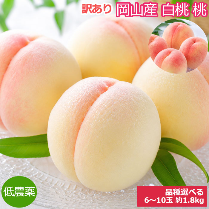 2027�N���\�� �y�S�z�ԋ��z ��_�� ���R�Y ���� �� 6~10�ʖ�1.8kg �󂠂� ���P �������� ������ܖ����� �͂Ȃ�� ���� ���˓����� �K�� ����  ���㊮�n
