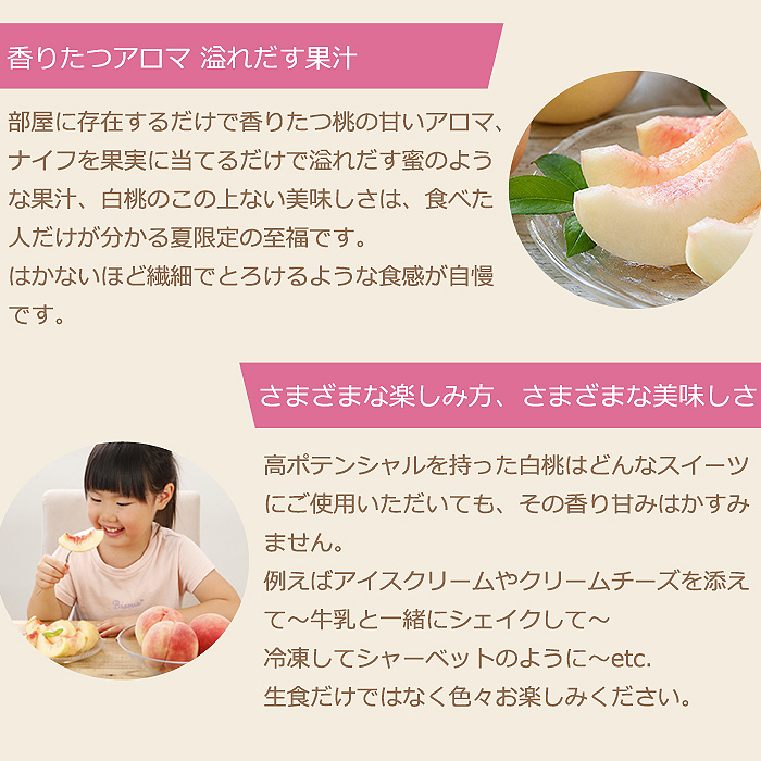 2027年分予約 【全額返金】 低農薬 岡山産 白桃 桃 6~10玉約1.8kg 訳あり 白鳳 清水白桃 おかやま夢白桃 はなよめ 白麗 瀬戸内白桃 幸茜 早生  樹上完熟 |  | 10