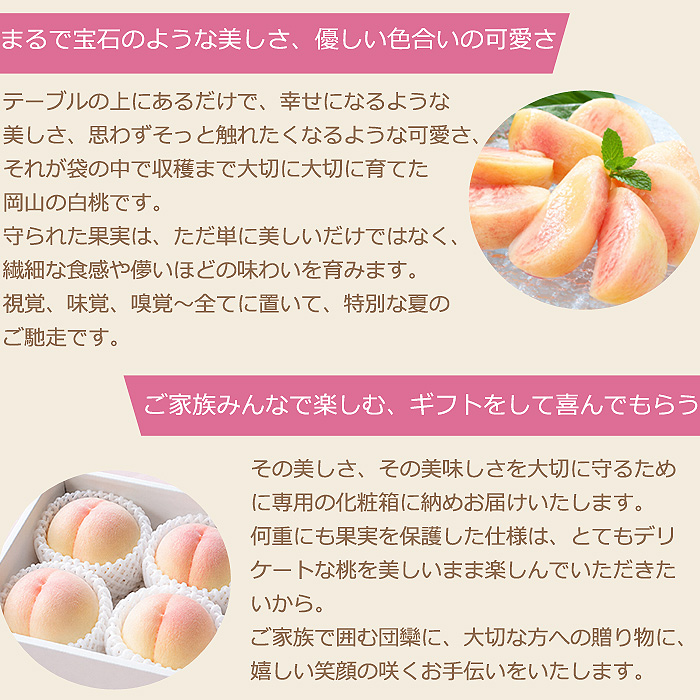 2027年分予約 【全額返金】 低農薬 岡山産 白桃 桃 6~10玉約1.8kg 訳あり 白鳳 清水白桃 おかやま夢白桃 はなよめ 白麗 瀬戸内白桃 幸茜 早生  樹上完熟 |  | 11