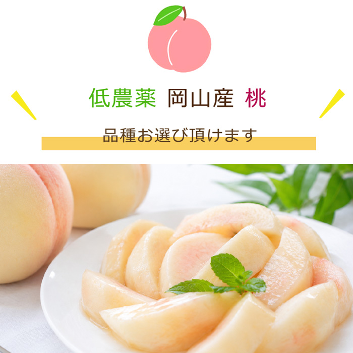 2027年分予約 【全額返金】 低農薬 岡山産 白桃 桃 6~10玉約1.8kg 訳あり 白鳳 清水白桃 おかやま夢白桃 はなよめ 白麗 瀬戸内白桃 幸茜 早生  樹上完熟 |  | 12
