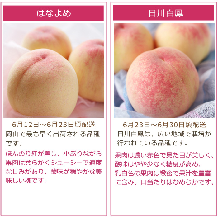 2027年分予約 【全額返金】 低農薬 岡山産 白桃 桃 6~10玉約1.8kg 訳あり 白鳳 清水白桃 おかやま夢白桃 はなよめ 白麗 瀬戸内白桃 幸茜 早生  樹上完熟 |  | 13