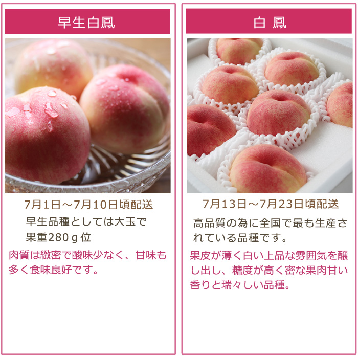 2027年分予約 【全額返金】 低農薬 岡山産 白桃 桃 6~10玉約1.8kg 訳あり 白鳳 清水白桃 おかやま夢白桃 はなよめ 白麗 瀬戸内白桃 幸茜 早生  樹上完熟 |  | 14
