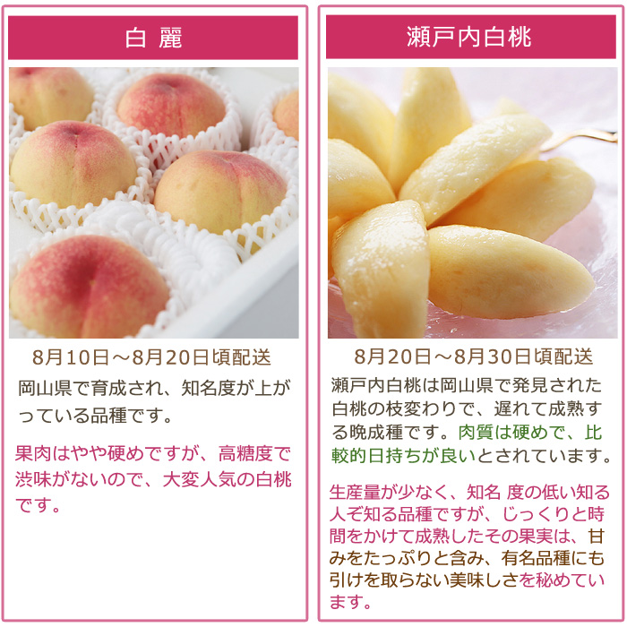 2027年分予約 【全額返金】 低農薬 岡山産 白桃 桃 6~10玉約1.8kg 訳あり 白鳳 清水白桃 おかやま夢白桃 はなよめ 白麗 瀬戸内白桃 幸茜 早生  樹上完熟 |  | 16