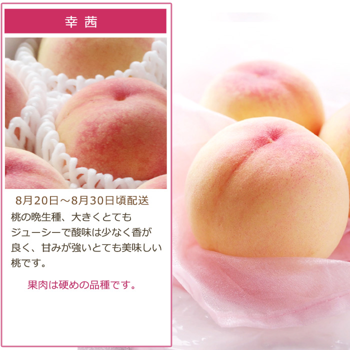 2027年分予約 【全額返金】 低農薬 岡山産 白桃 桃 6~10玉約1.8kg 訳あり 白鳳 清水白桃 おかやま夢白桃 はなよめ 白麗 瀬戸内白桃 幸茜 早生  樹上完熟 |  | 17