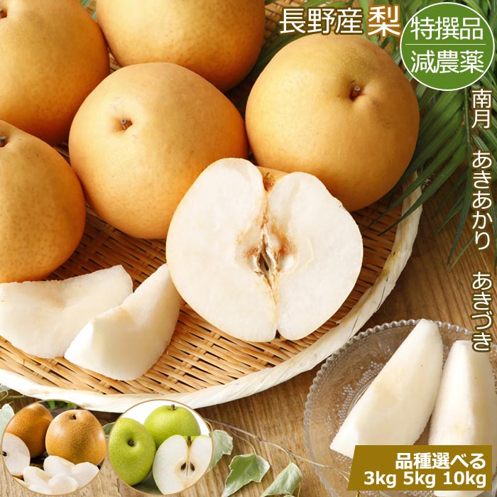 呉羽梨◇幸水 大玉、傷あり、訳あり、家庭用10キロ 梨 10kg」
