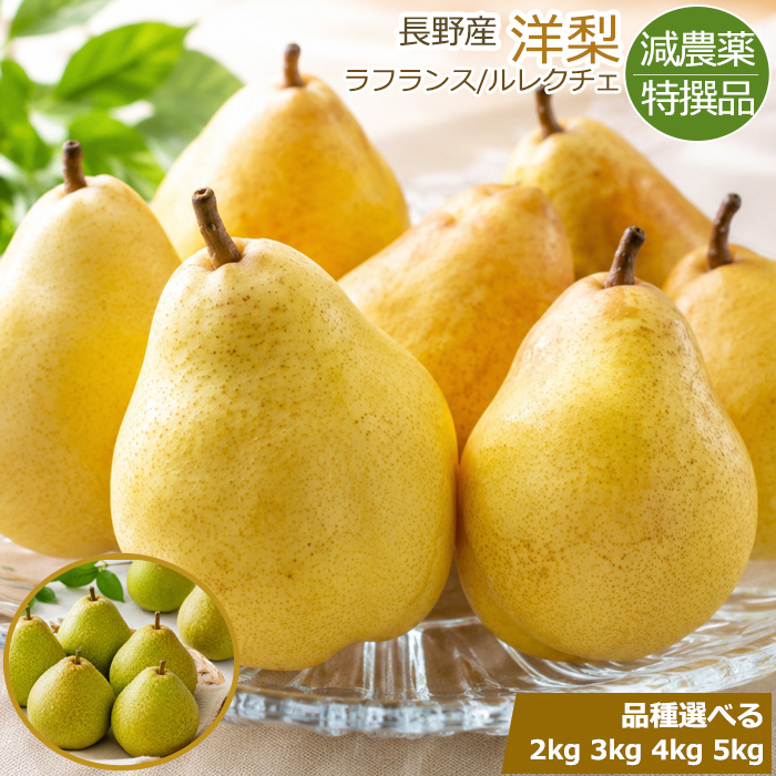 ���_�� ����Y �m�� ���t�����X �����N�`�F 2kg �` 5kg �����p ���E�t�����X ���E���N�`�F �� �Ȃ� �i�V �G�i ����i �� �ӂ邳�Ɣ[�� �ł͂���܂���