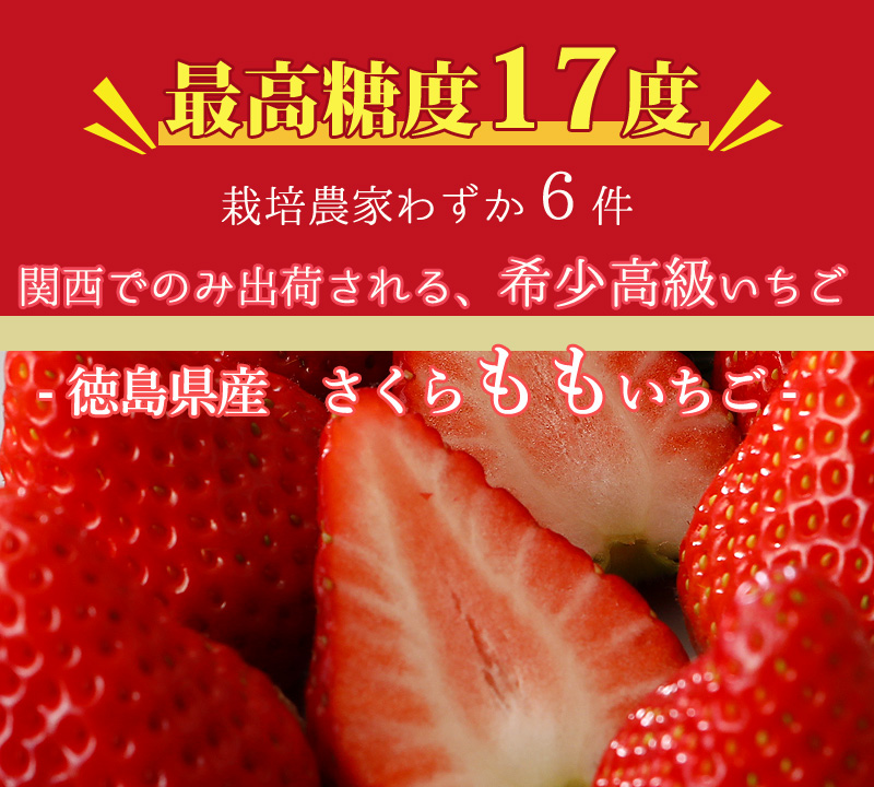 12月分予約 徳島産 さくらももいちご 4パック 約880g入 S10 : 10001221 