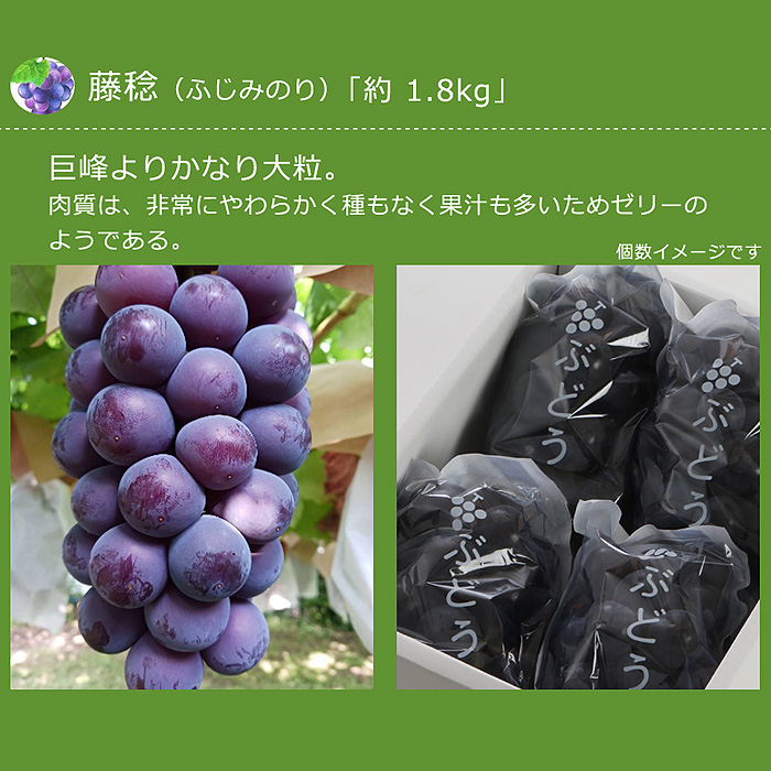 巨峰（フルーツ ブドウ）｜フルーツ | 食品 のおすすめ人気商品一覧