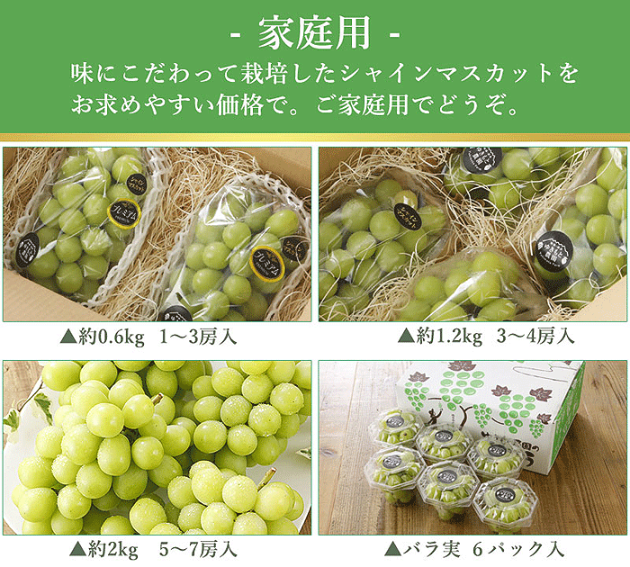 9月分予約 減農薬 愛媛産 シャインマスカット 特選2房入 贈答用 ぶどう