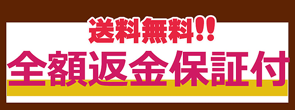 返金保証付