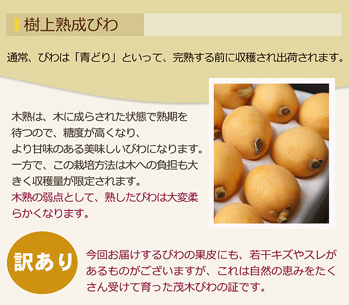 訳あり記載部分画像