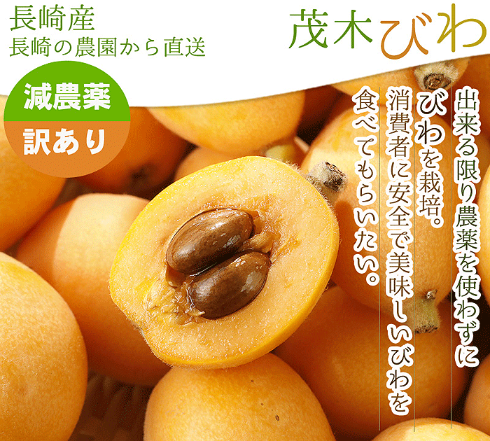 訳あり記載部分