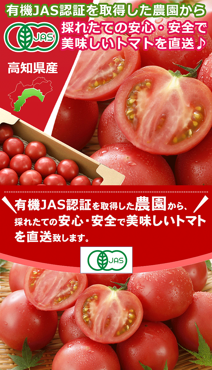 トマト画像