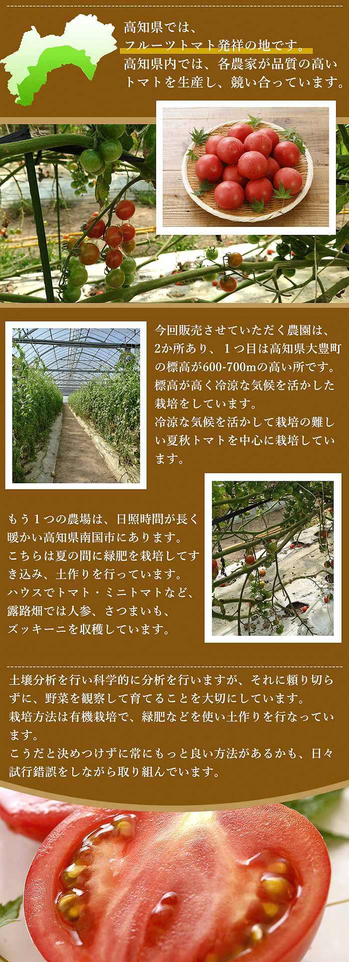 トマト生産について