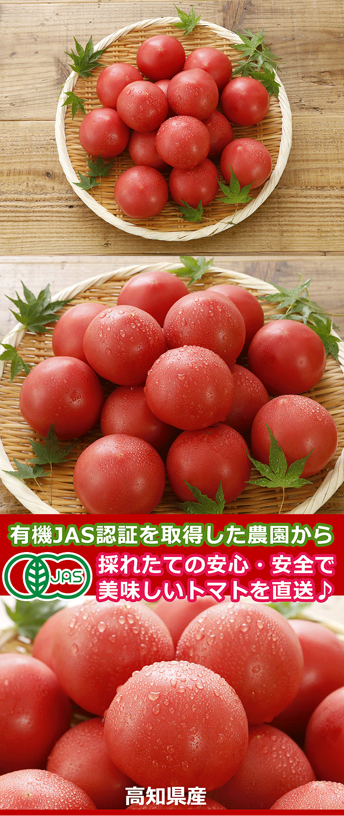 トマト画像