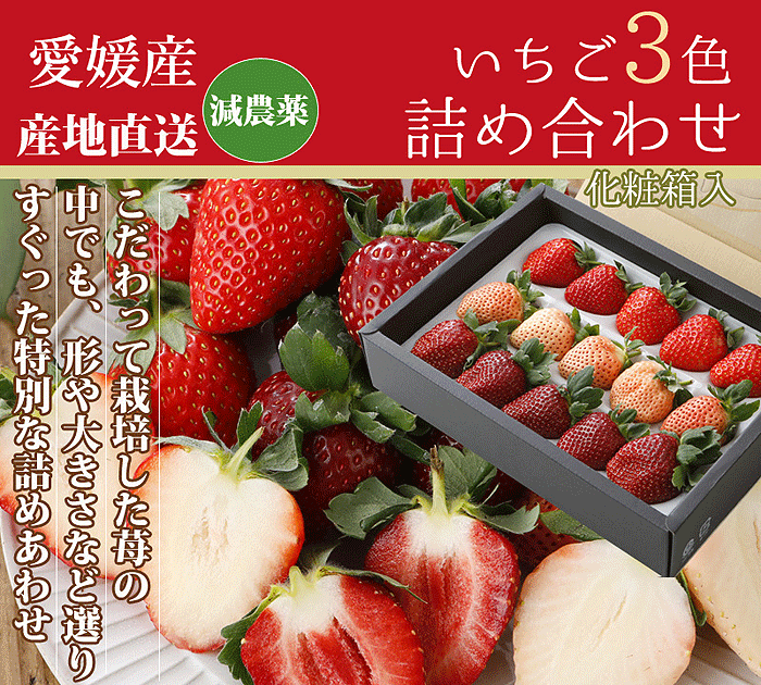 いちごメイン画像