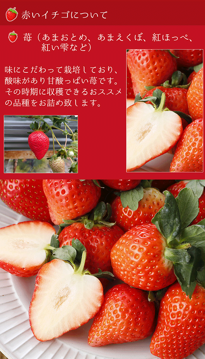 赤いイチゴについて