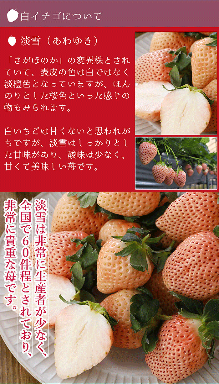 白イチゴについて