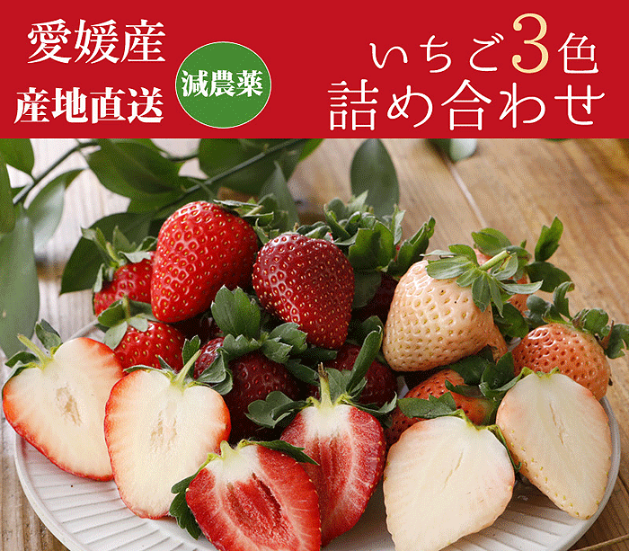 イチゴ集合画像