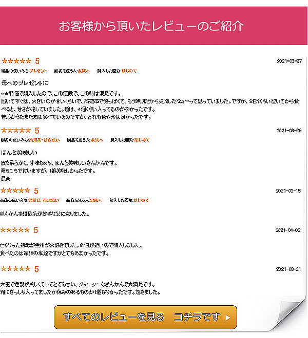 レビュー