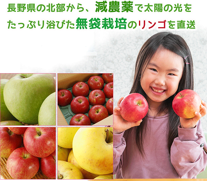 リンゴ詳細画像