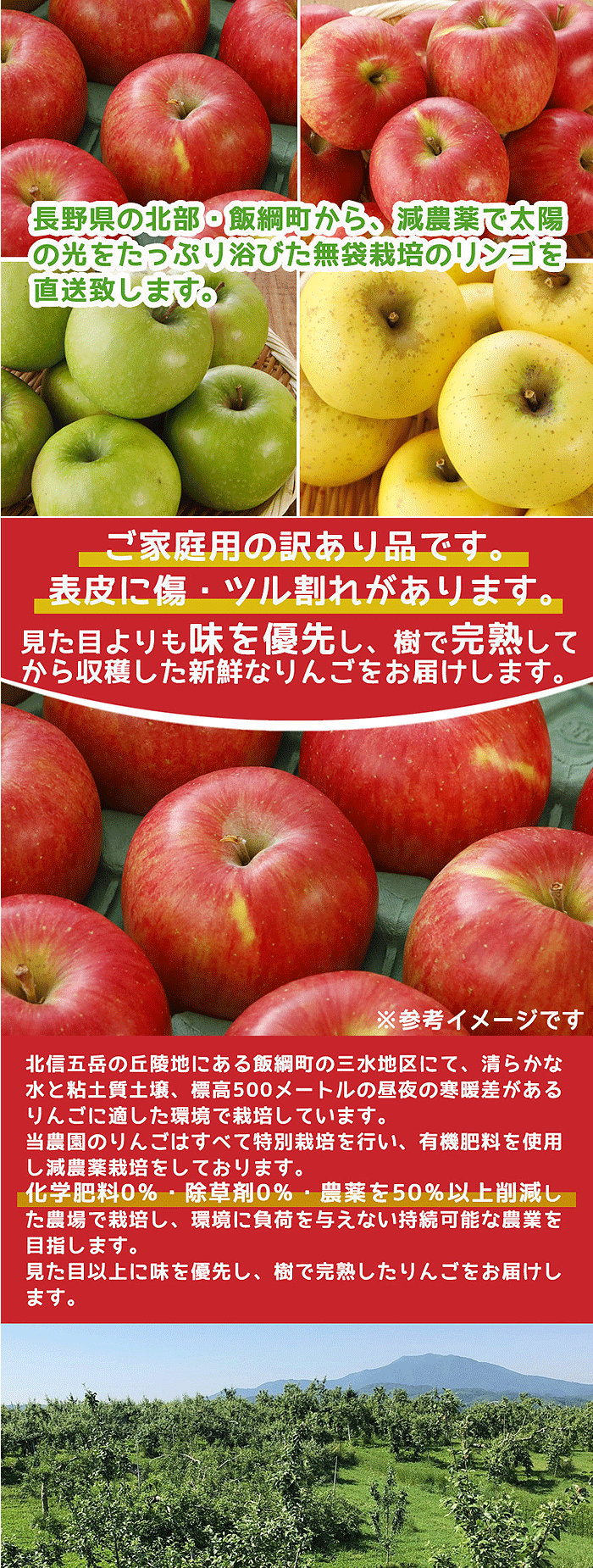 全額返金保証 減農薬 晩生品種 訳あり りんご 2.8kg ぐんま名月