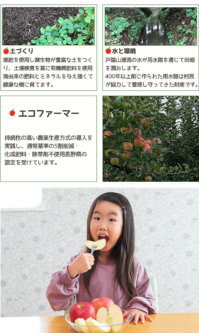 リンゴ詳細画像