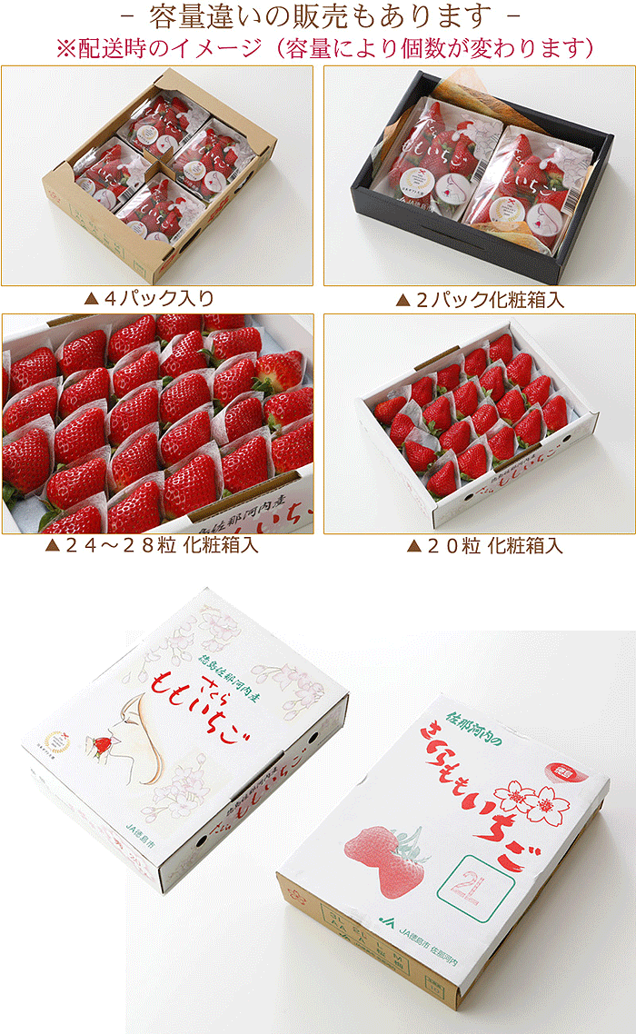 容量違いパッケージ