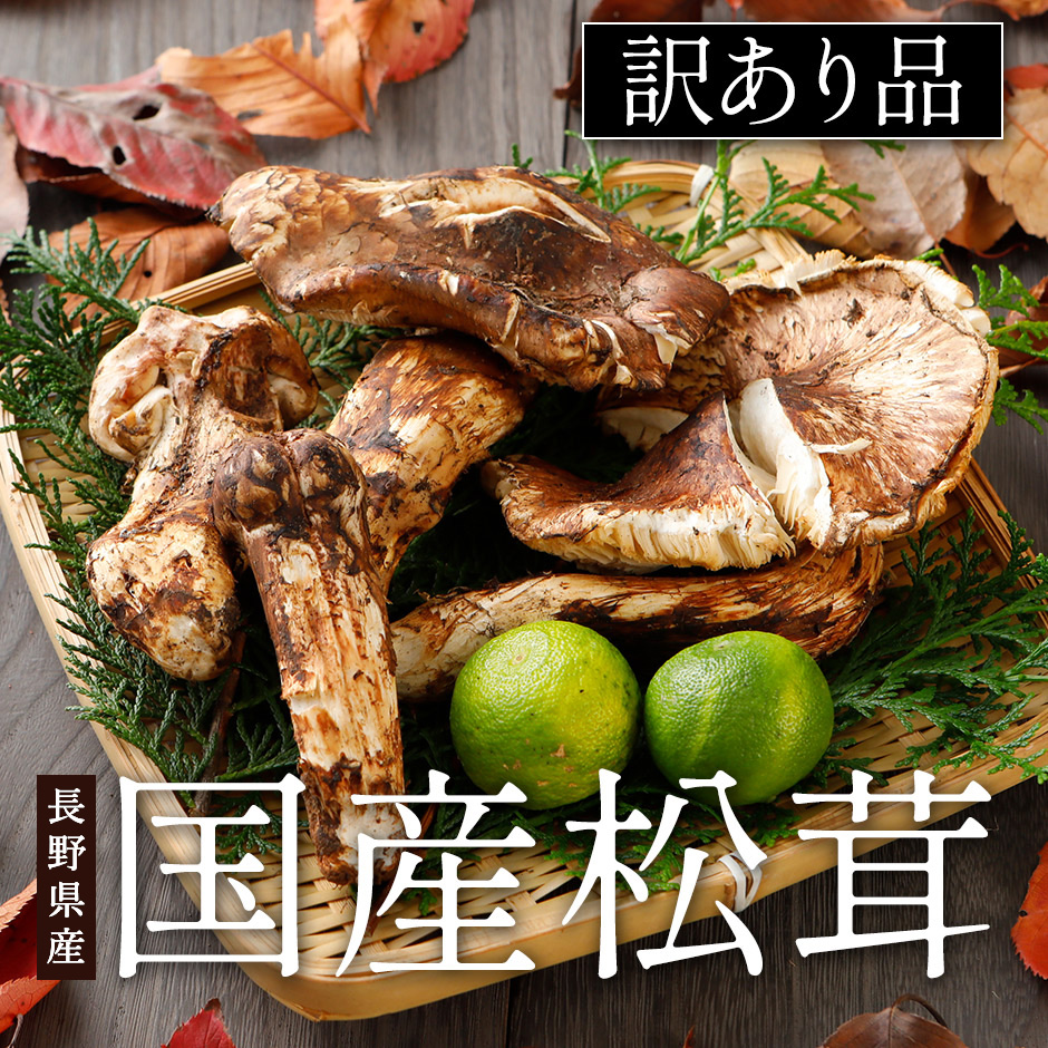 国産・長野県産天然松茸（訳あり）