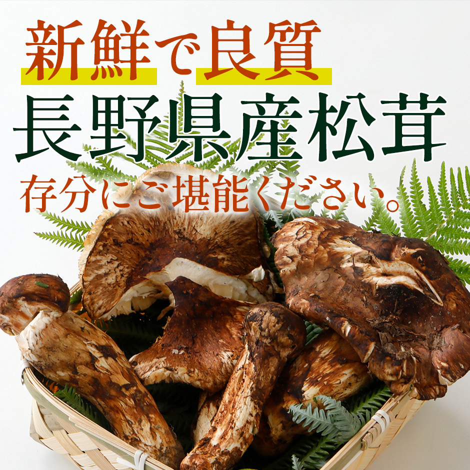 新鮮で良質な国産・長野県産天然松茸
