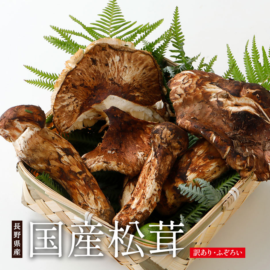 国産・長野県産天然松茸（訳あり）
