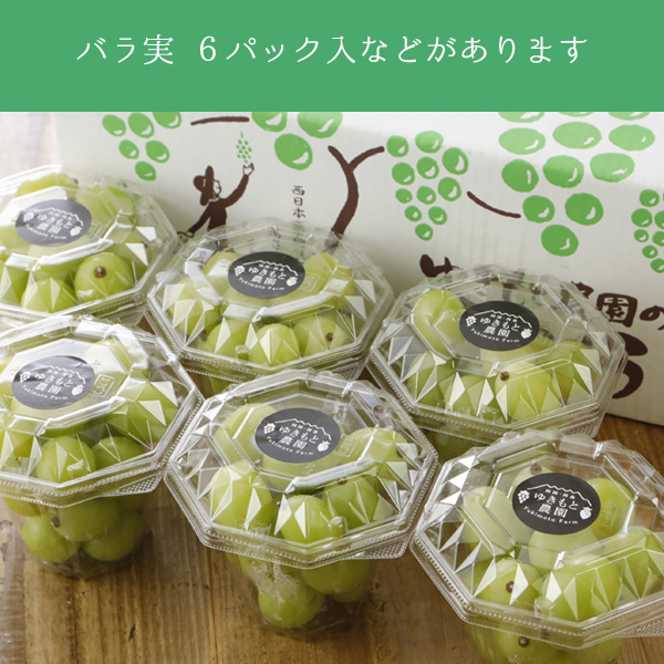 9月分予約 減農薬 愛媛産 シャインマスカット 特選2房入 贈答用 ぶどう