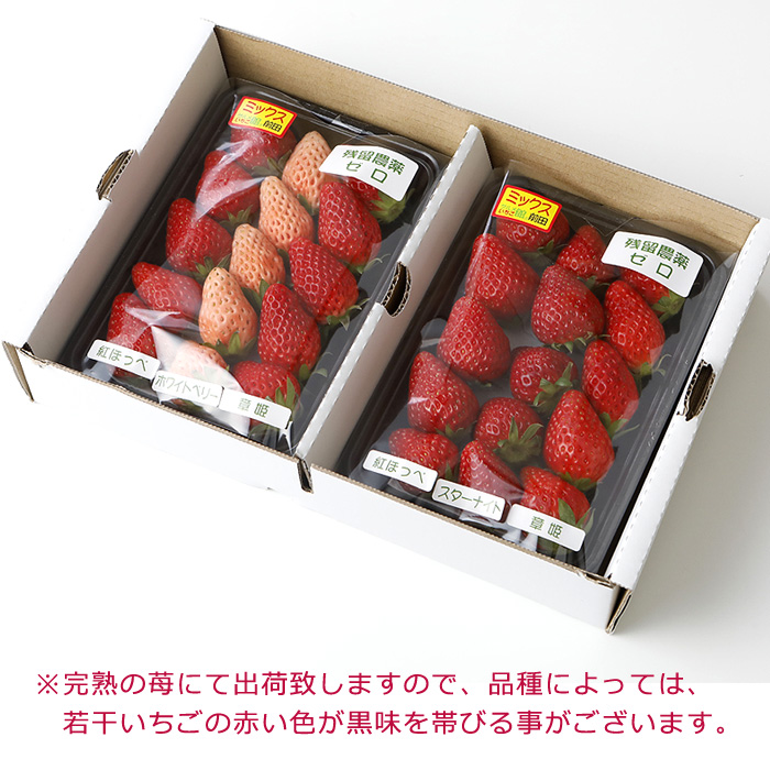 無農薬 いちごのおすすめ人気商品一覧 通販 - Yahoo!ショッピング