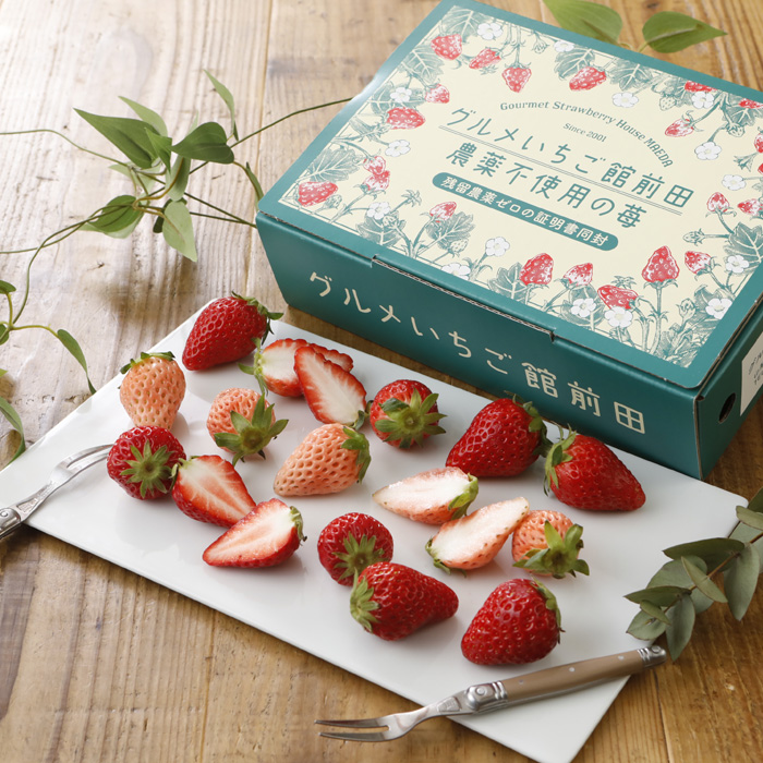 無農薬 いちごのおすすめ人気商品一覧 通販 - Yahoo!ショッピング