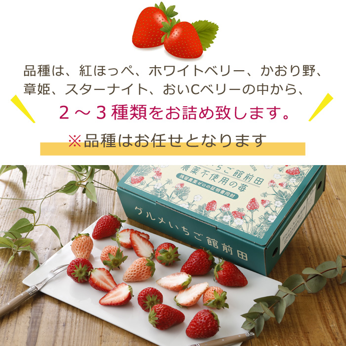 無農薬 いちごのおすすめ人気商品一覧 通販 - Yahoo!ショッピング