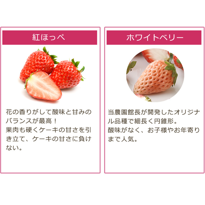 無農薬 いちごのおすすめ人気商品一覧 通販 - Yahoo!ショッピング