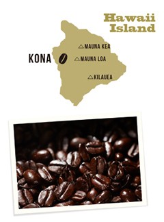 コナコーヒー 100％ ハワイ ファンシー 200g KONA コーヒー豆
