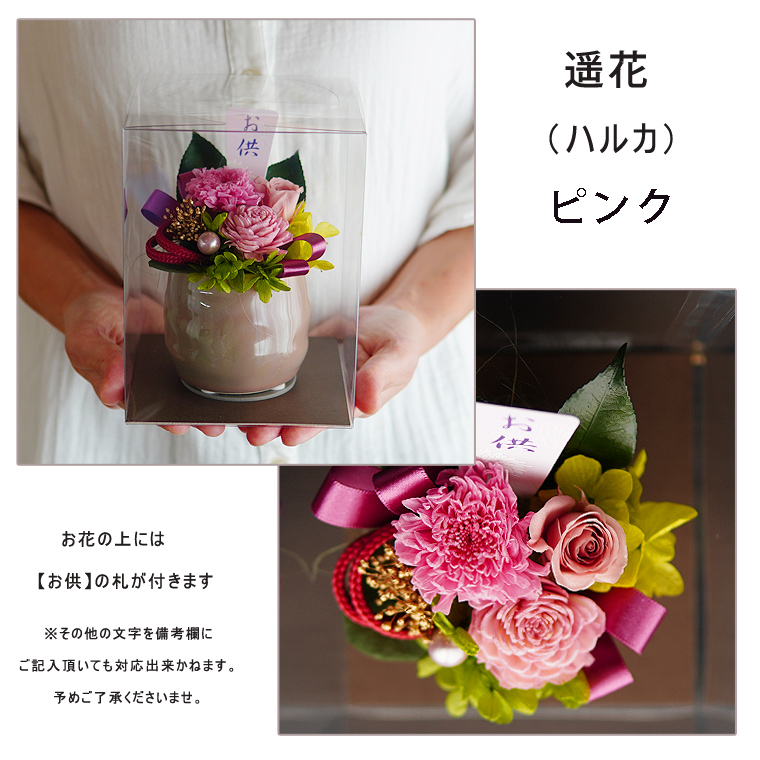 遥花ピンク3