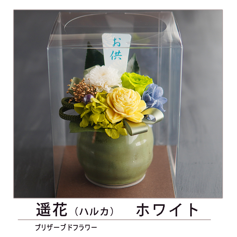 遥花ホワイト1