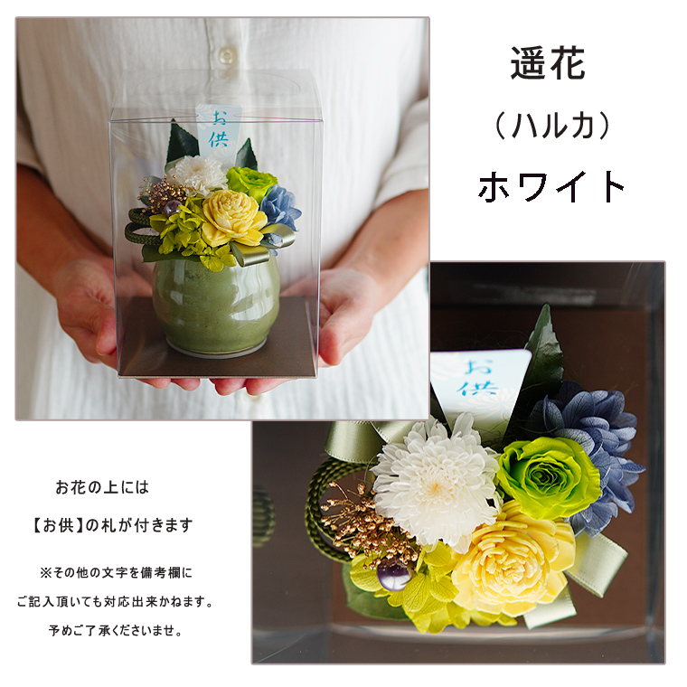 遥花ホワイト3