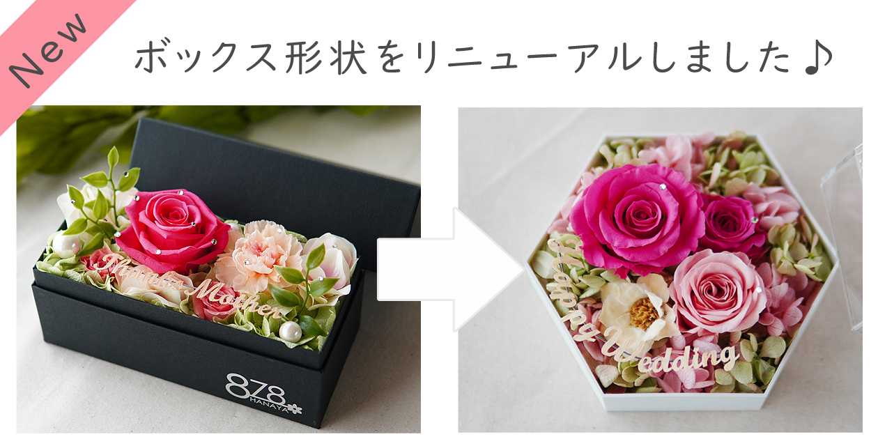 リニューアル画像