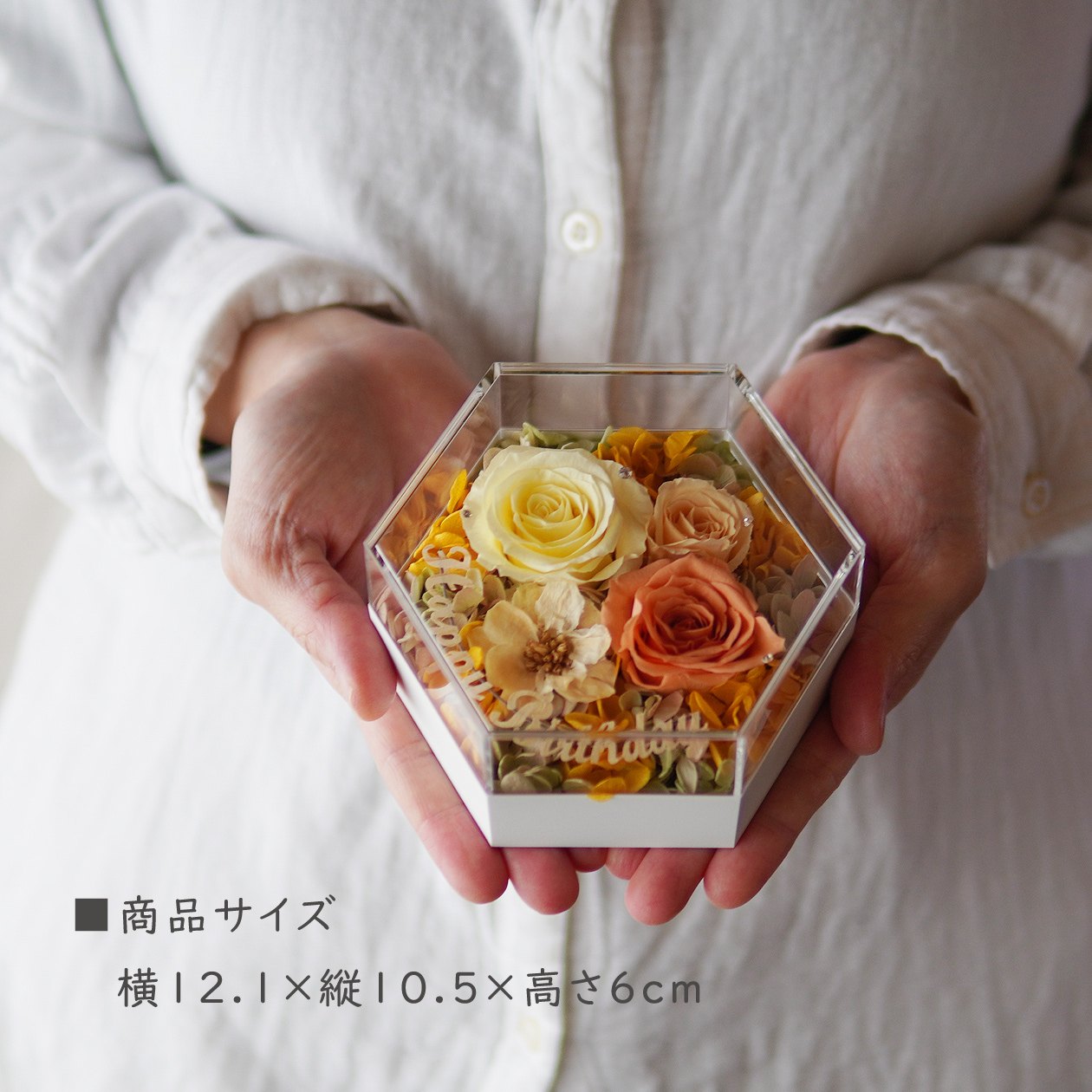 サイズ